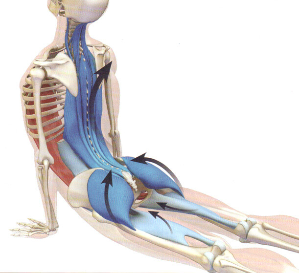 [Резеда Хакимзянова, Игорь Атрощенко] Техники само_0.png